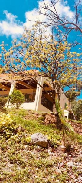 La Bastida : villa avec piscine